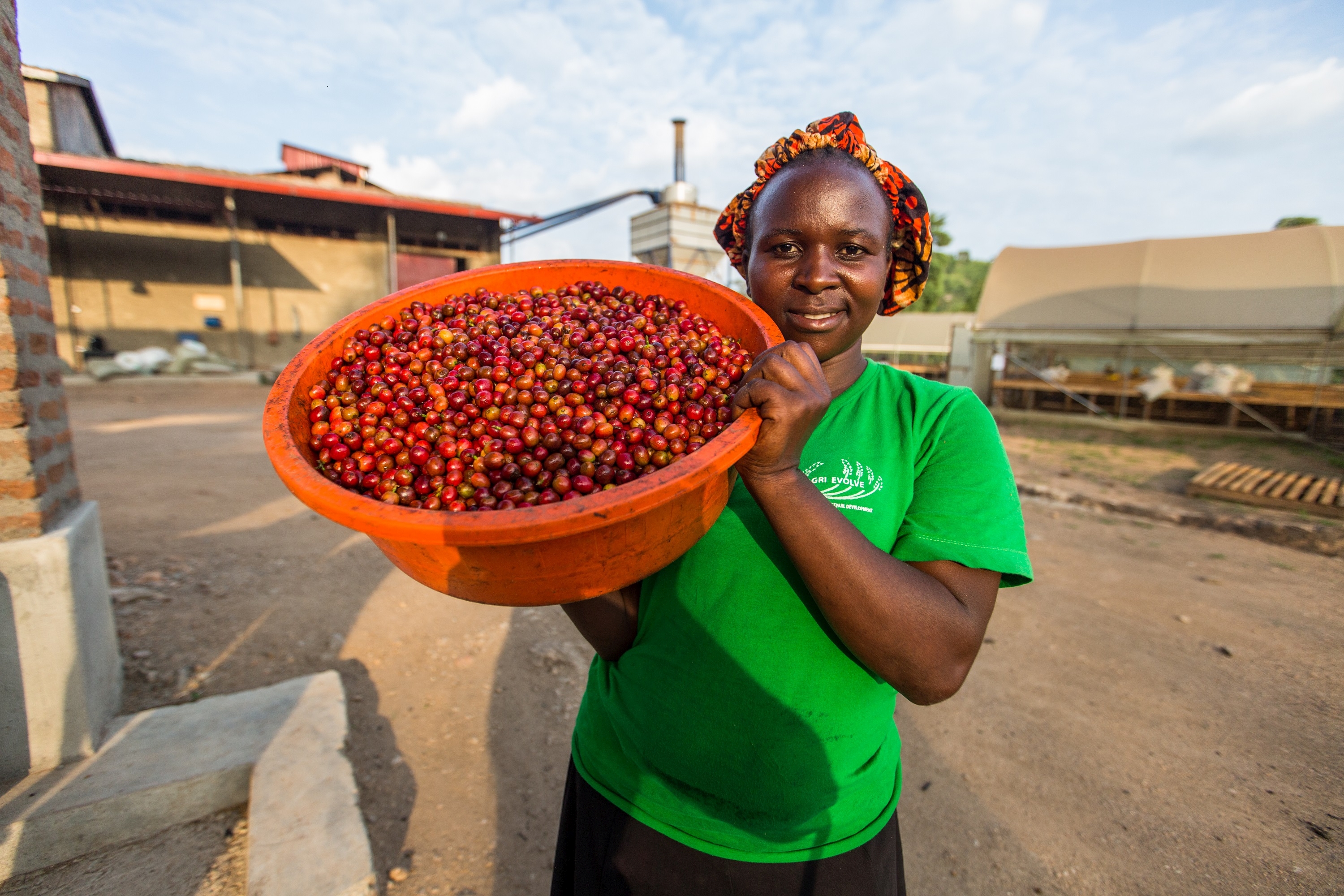 Bugoye DECAF – Bild 2