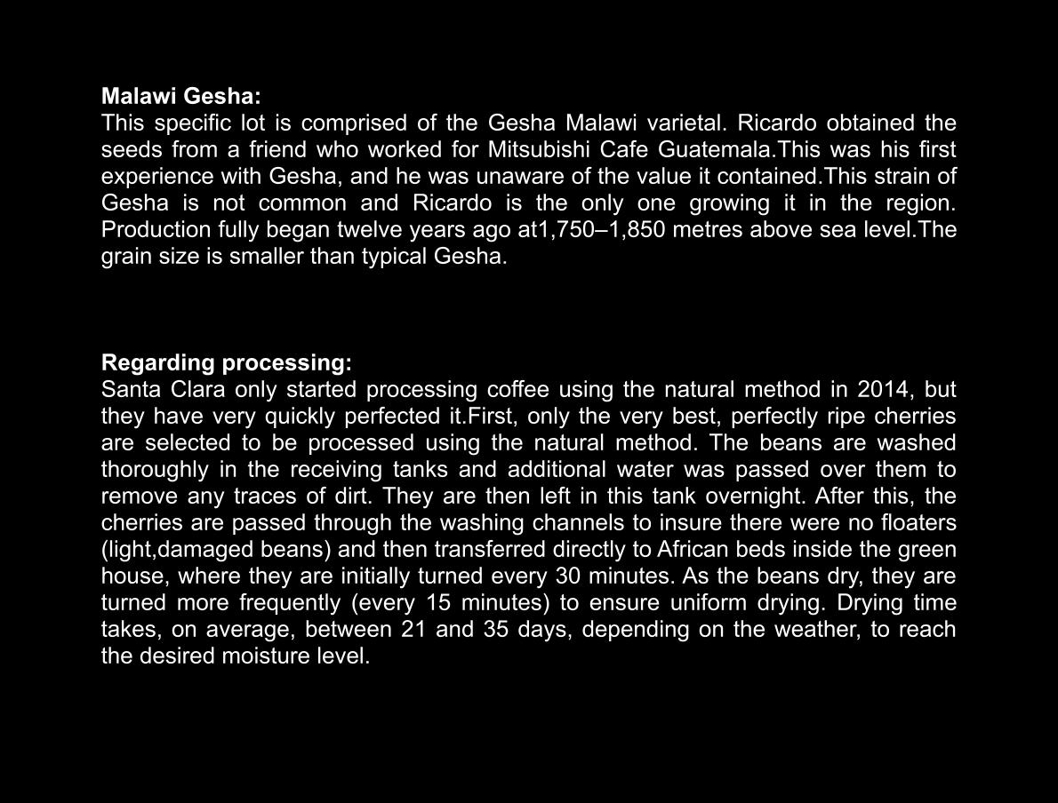 Santa Clara Gesha – Bild 5