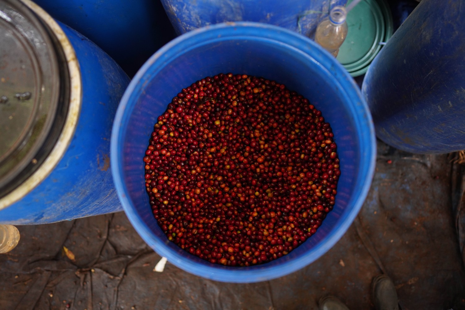 Rumudamo Natural – Bild 3