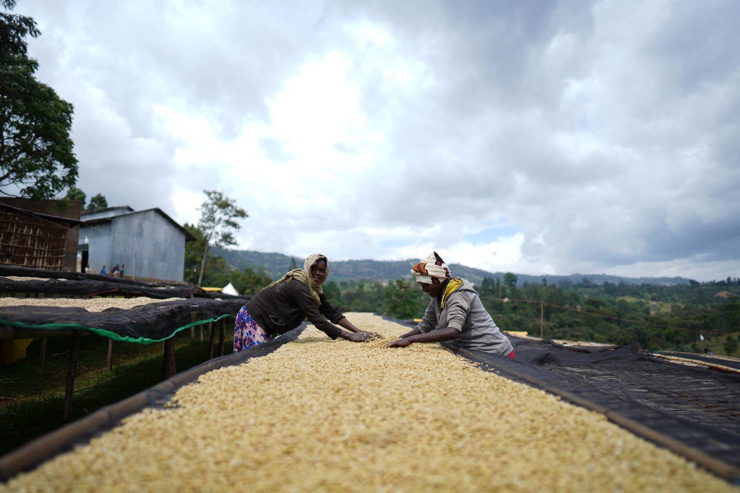 Rumudamo Natural – Bild 4