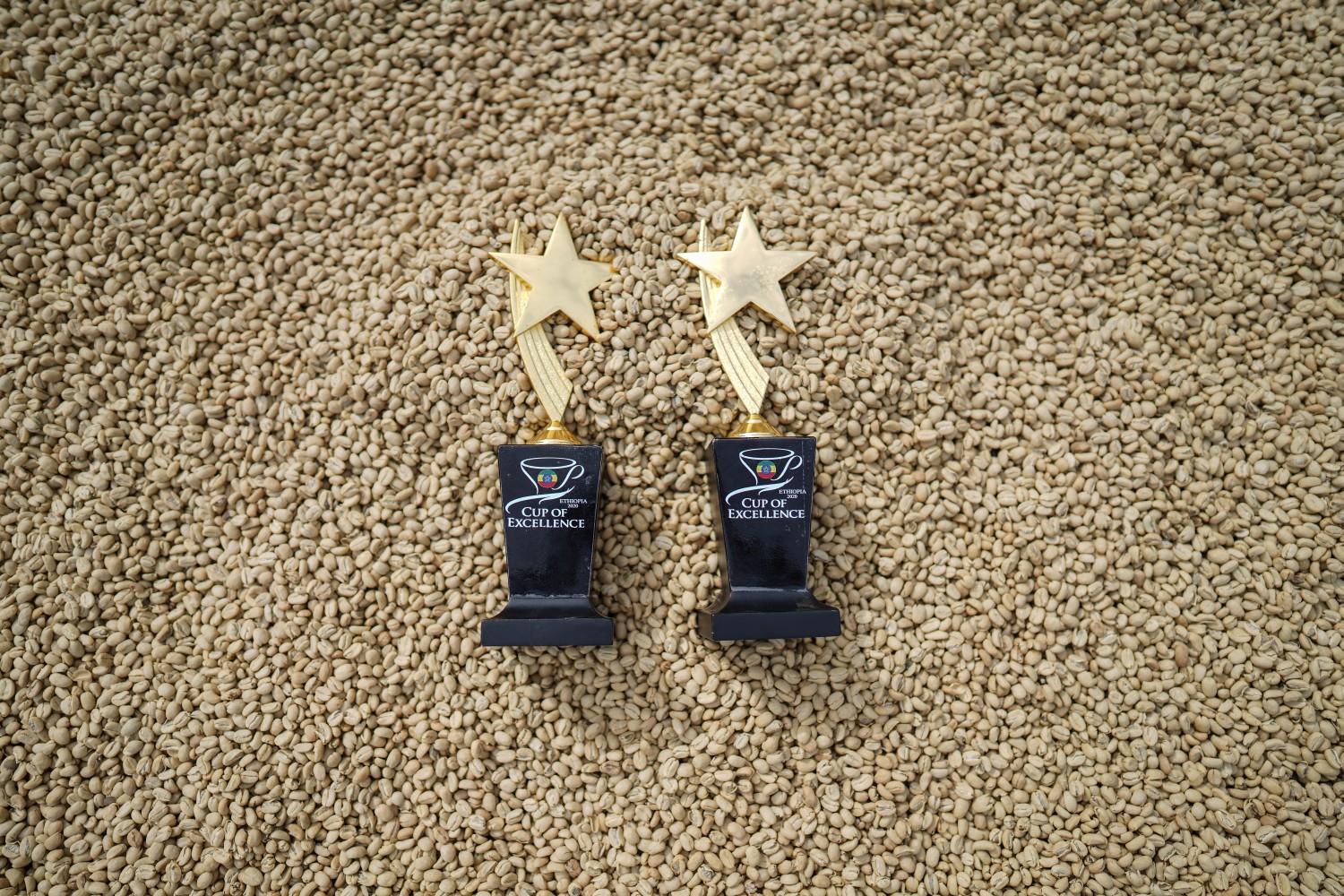 Rumudamo Natural – Bild 2