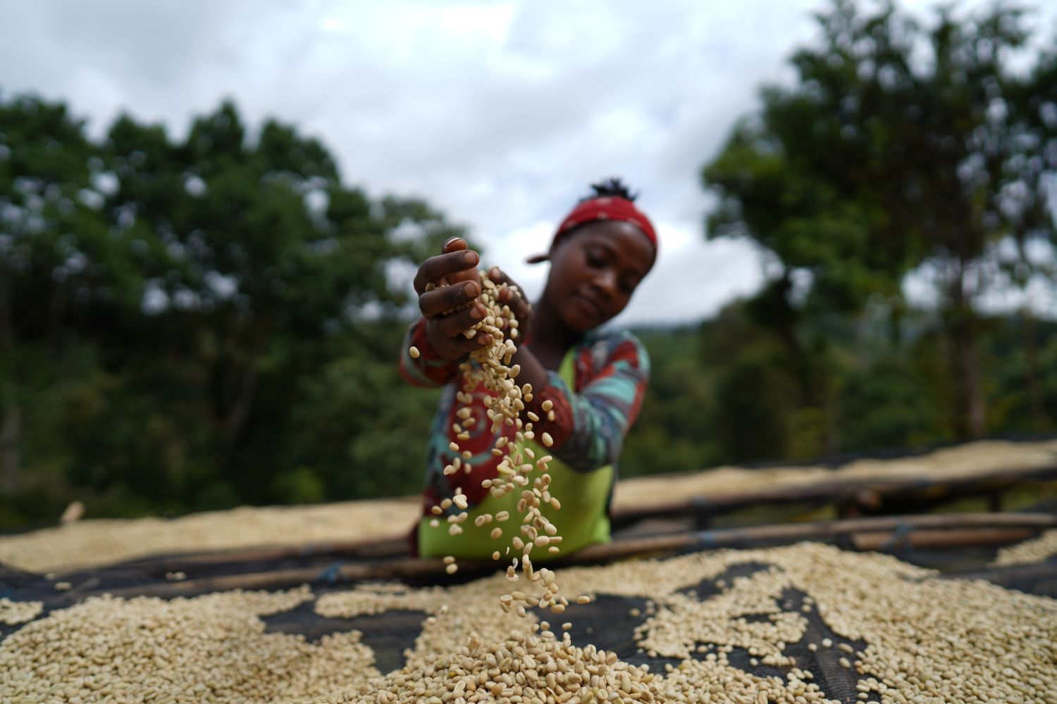 Rumudamo Washed – Bild 2