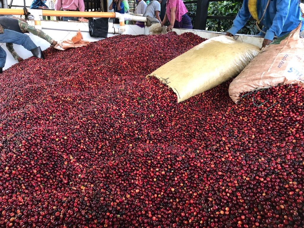 San Lorenzo – Bild 2